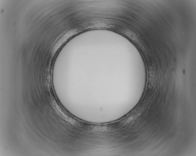 X0000053110890200508012122