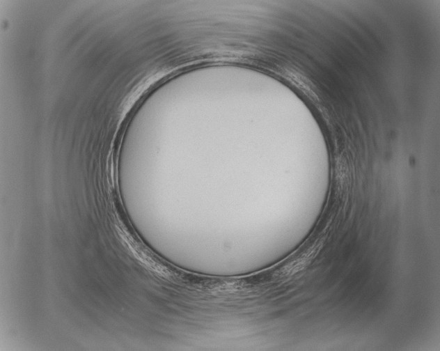 X0000053110891200508012122