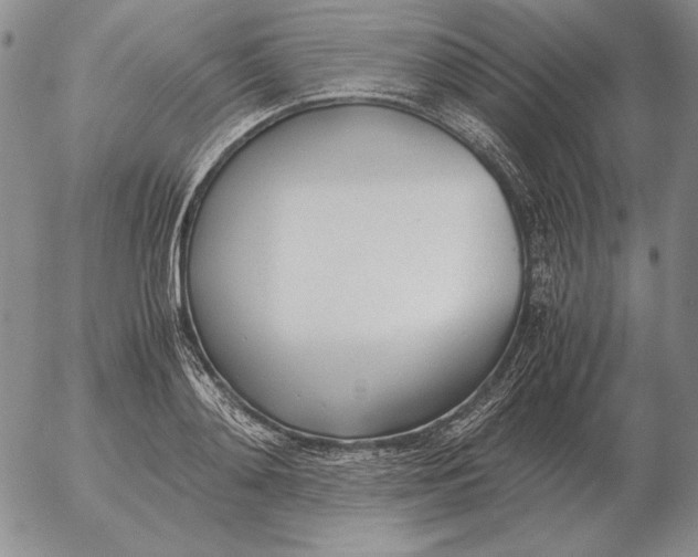 X0000053110892200508012122