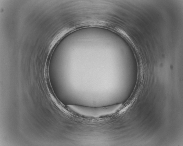 X0000053110893200508012122