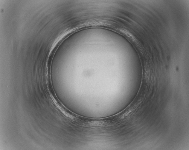 X0000053110894200508012122