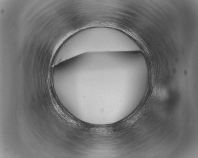 X0000053110896200508012121