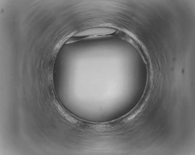 X0000053110897200508012121