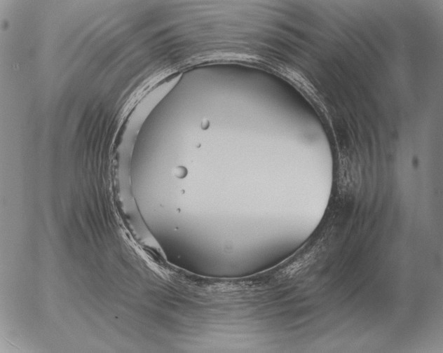 X0000053110898200508012121