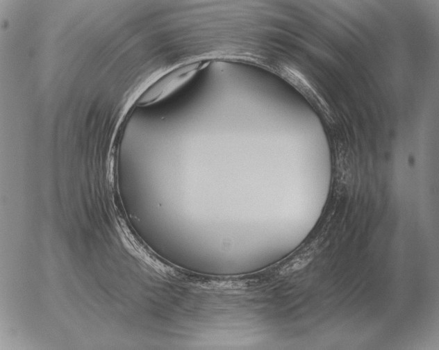 X0000053110900200508012121