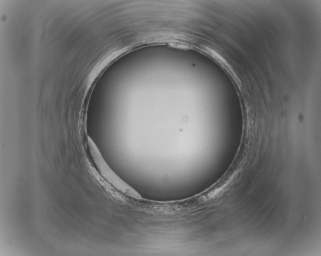 X0000053110901200508012121