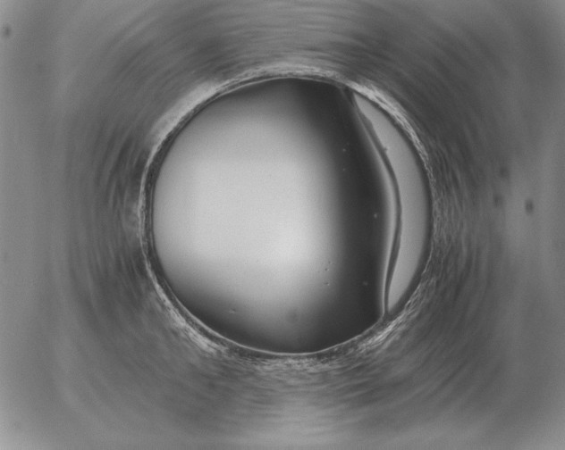 X0000053110902200508012121