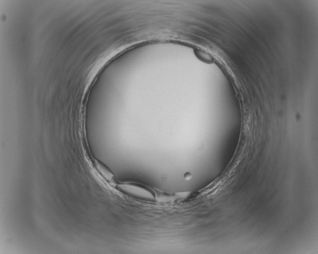 X0000053110903200508012121