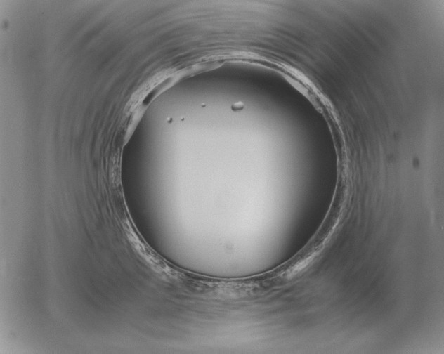 X0000053110905200508012121