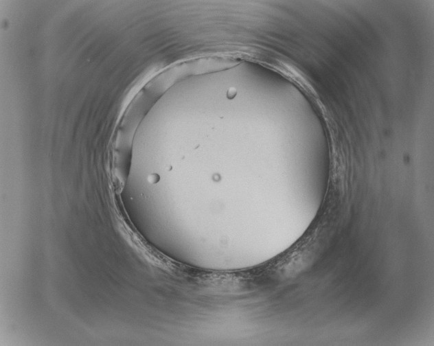 X0000053110907200508012121