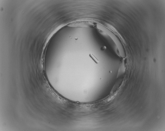 X0000053110908200508012121