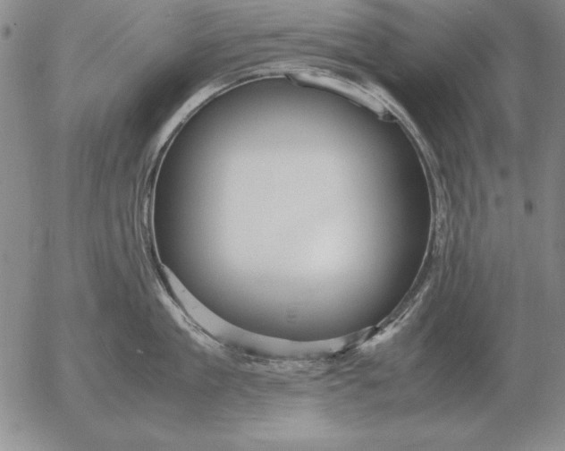 X0000053110909200508012121