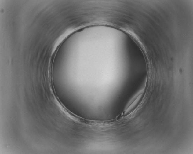 X0000053110910200508012121