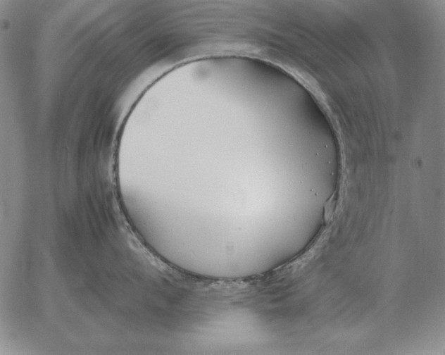 X0000053110912200508012121