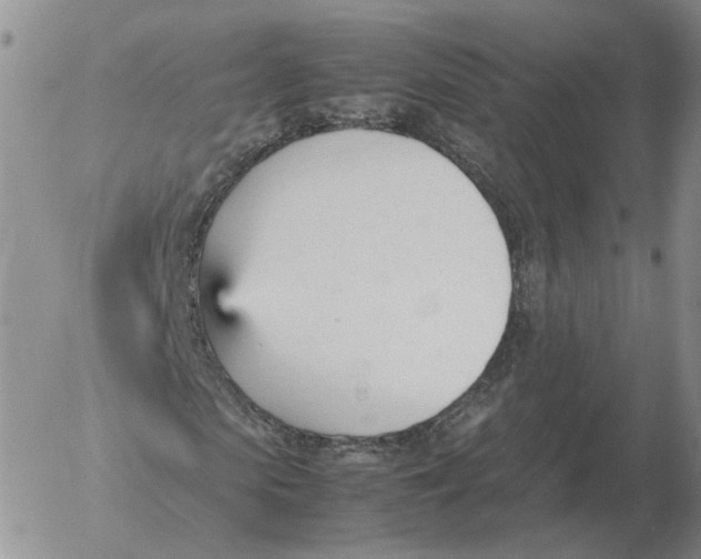 X0000053110913200508012120