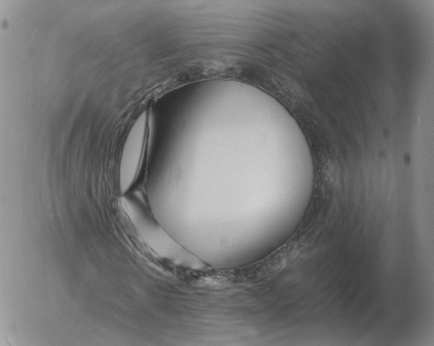 X0000053110914200508012120