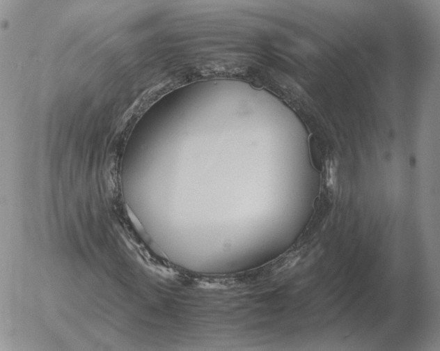 X0000053110915200508012120