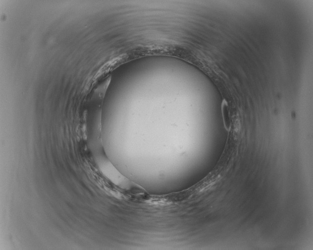 X0000053110916200508012120