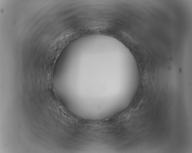 X0000053110917200508012120