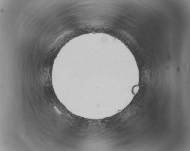 X0000053110918200508012120