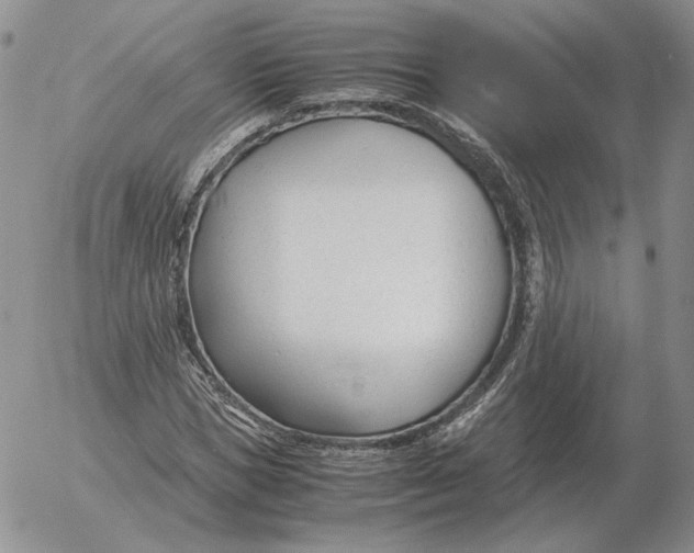 X0000053110921200508012121