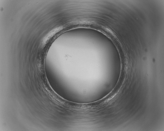 X0000053110922200508012121