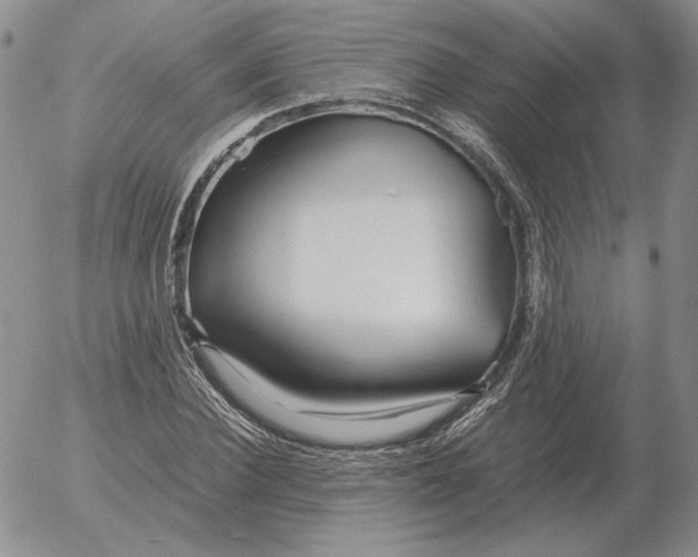 X0000053110924200508012121