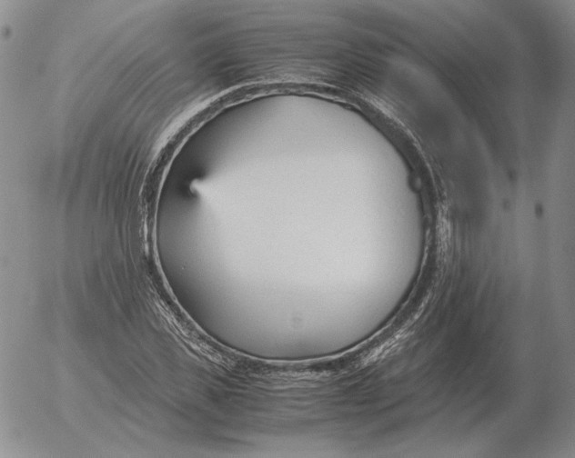 X0000053110925200508012121