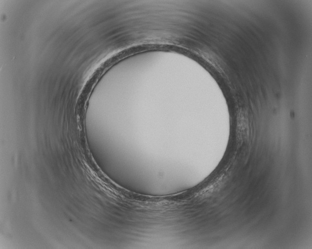 X0000053110926200508012121