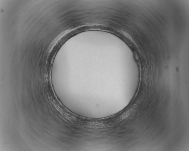 X0000053110927200508012121