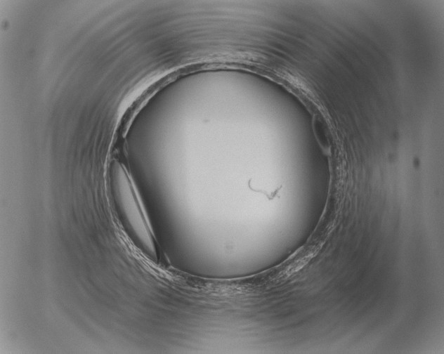 X0000053110928200508012121