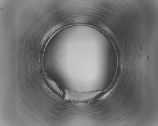 X0000053110930200508012121