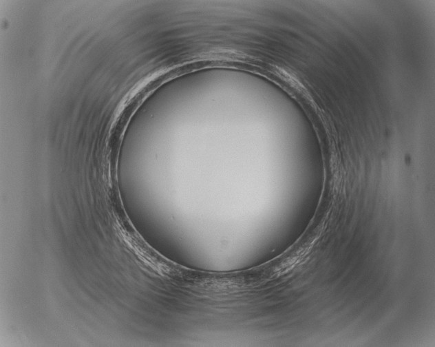 X0000053110931200508012121