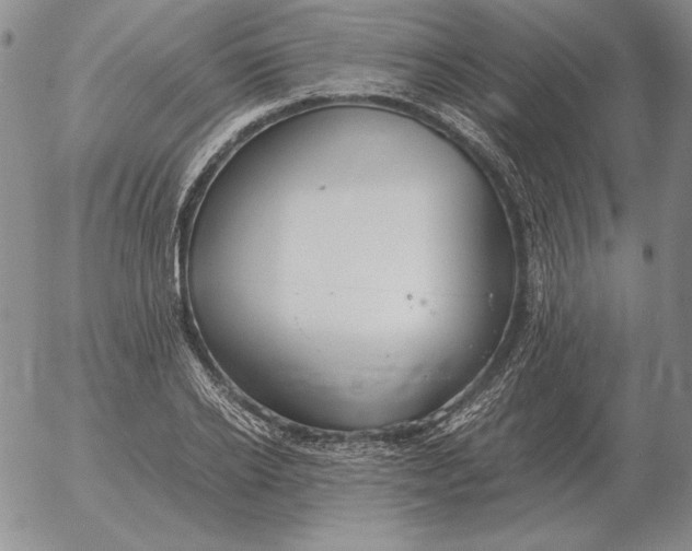 X0000053110934200508012121