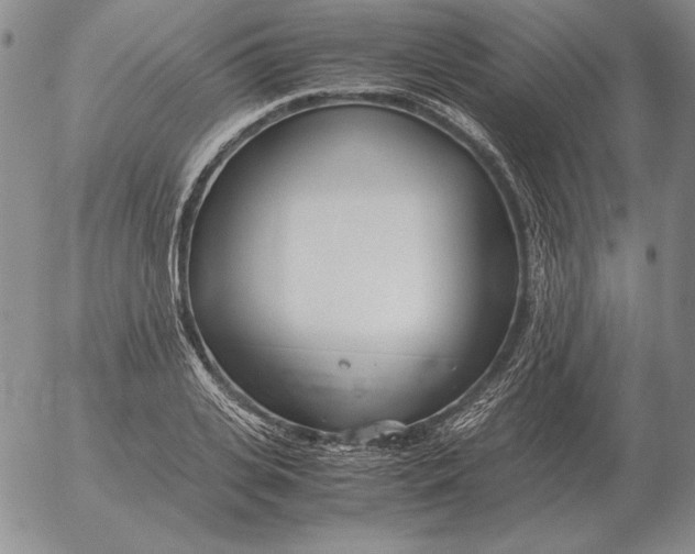 X0000053110935200508012121