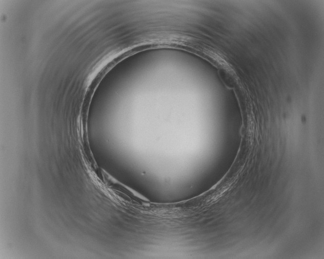 X0000053110936200508012121