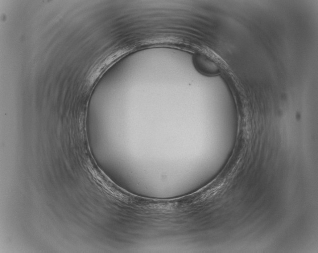 X0000053110937200508012121