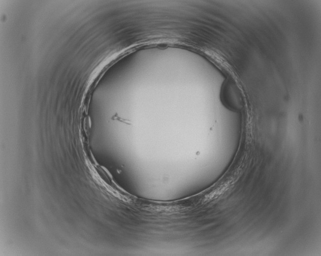 X0000053110941200508012121