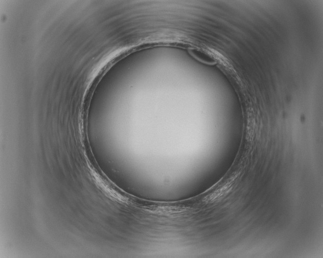 X0000053110942200508012121