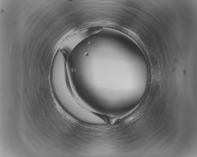 X0000053110946200508012121