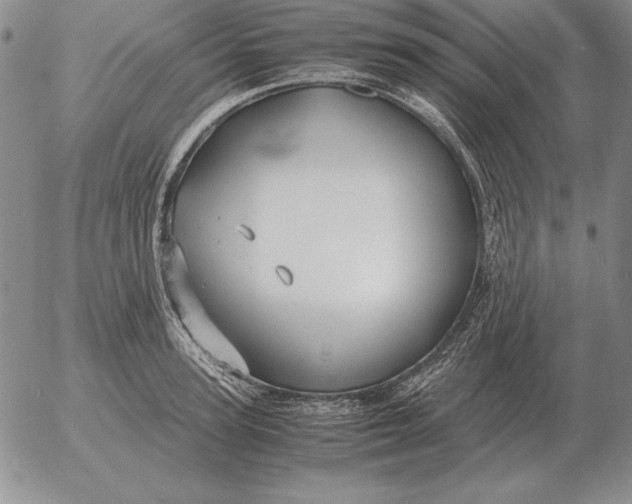 X0000053110947200508012121