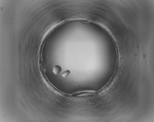 X0000053110949200508012121