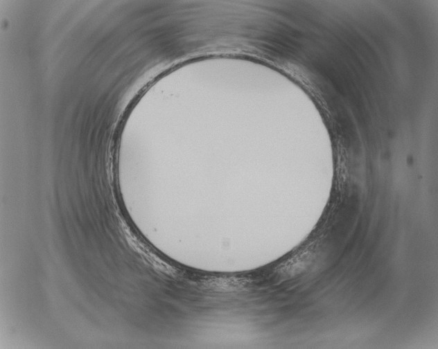 X0000053110950200508012121