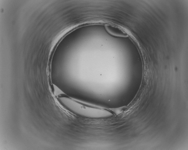 X0000053110951200508012121