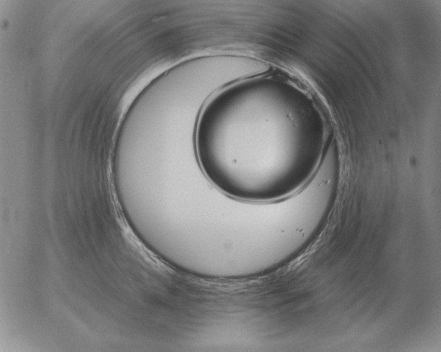 X0000053110952200508012121