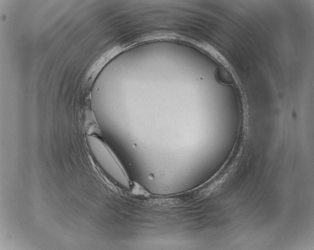 X0000053110953200508012121