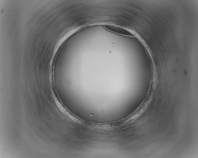 X0000053110957200508012121