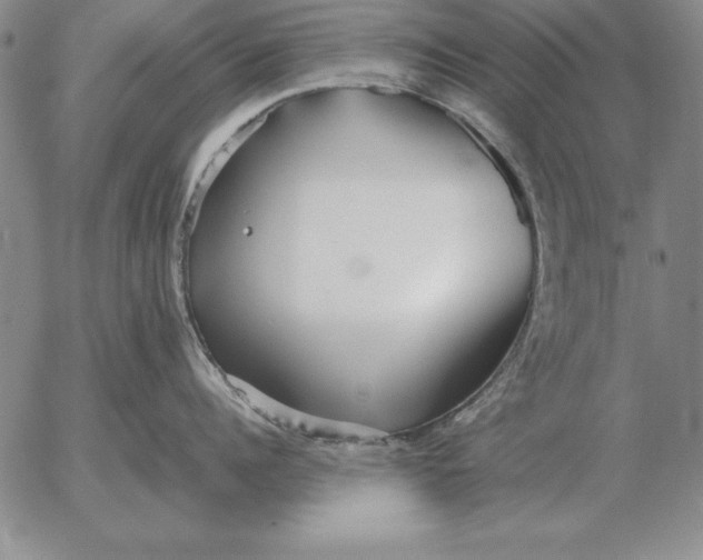 X0000053110960200508012121