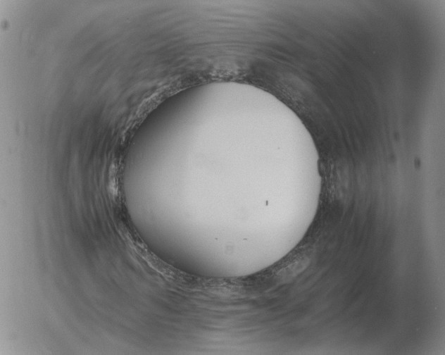 X0000053110962200508012120