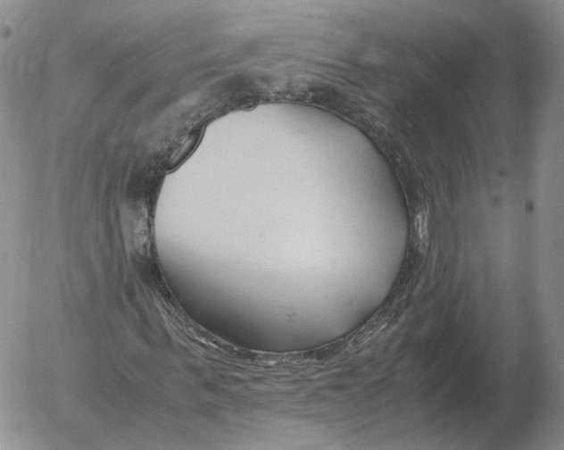 X0000053110963200508012120